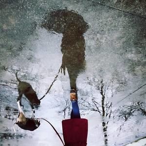 Meet your Posher, Abigail